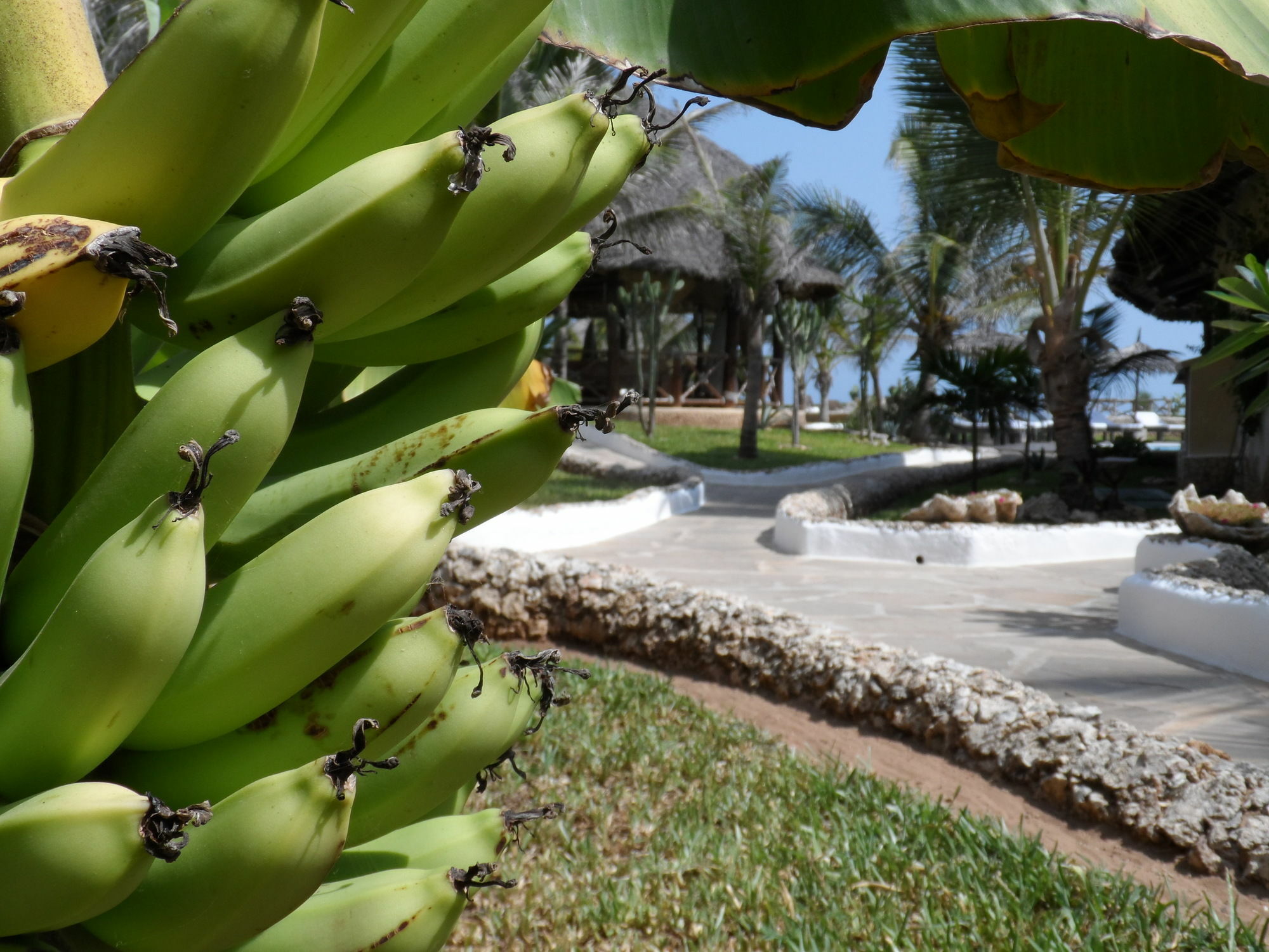 Mawe Resort Watamu Boutique Hotel Eksteriør bilde
